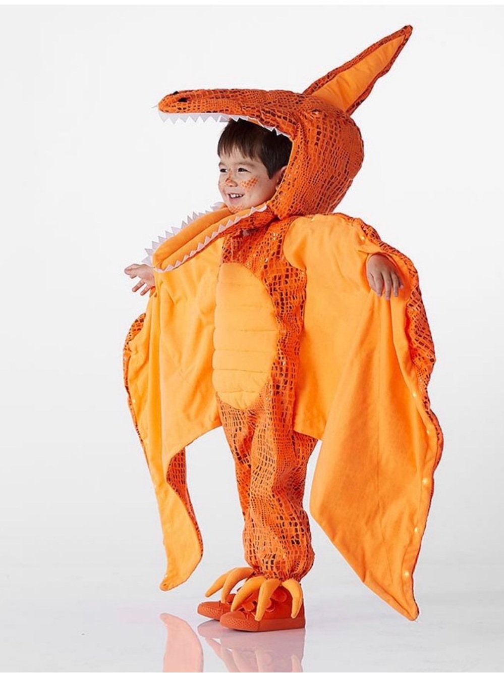 Pottery Barn Kids Pterodactyl Costume